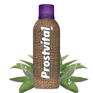 Prostvital